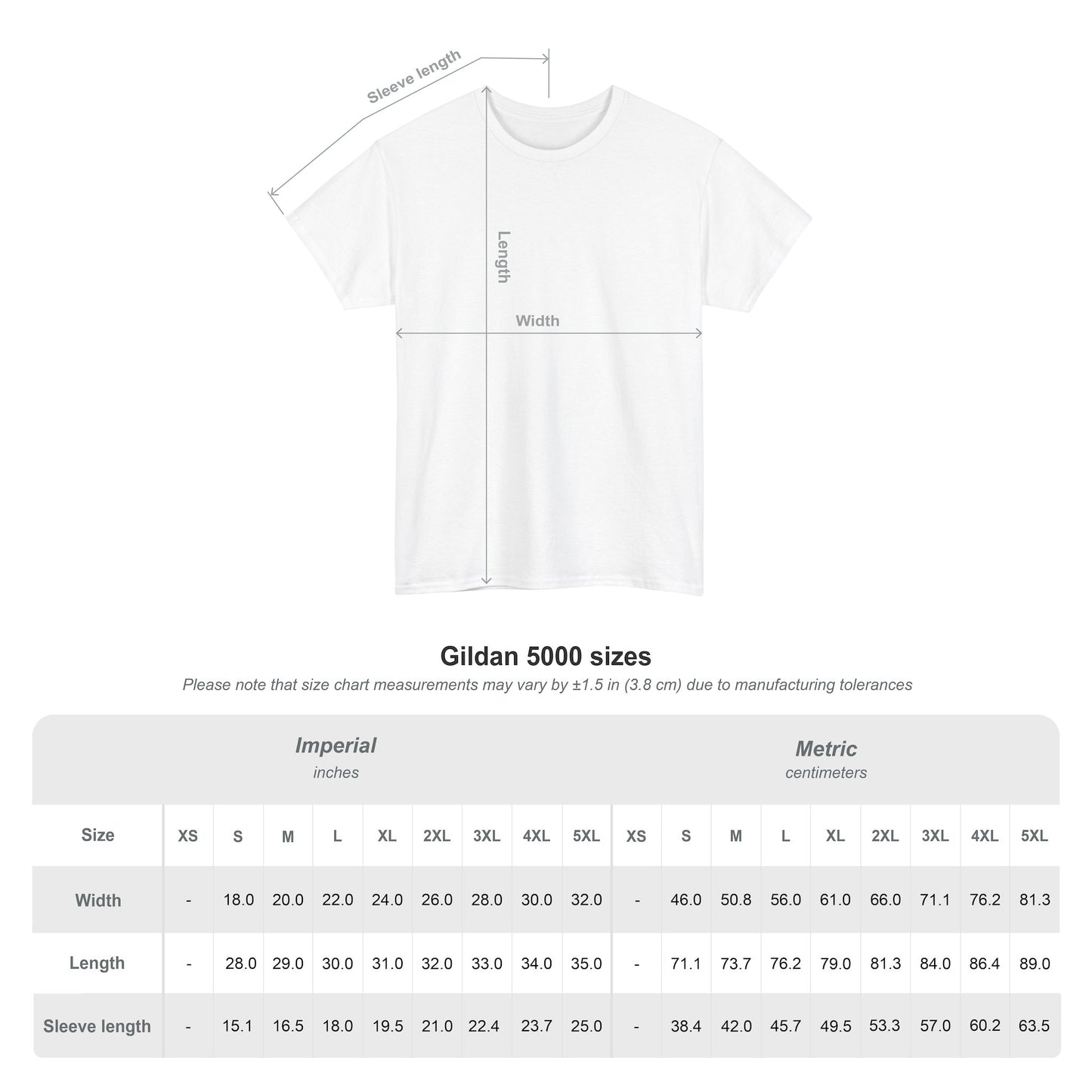 Sport-Inspired Unisex Heavy Cotton Tee with Lions Rugby Tour 2025 - Lion & Roo Design (UK Distributor)